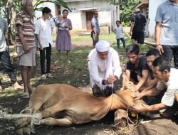 Pemdes Tanjung Sanai 2 Sambut Baik Kurban PT CRF