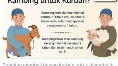 Usia Minimal Hewan kurban saat idul adha