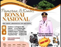 Bakal Hadir Pameran Dan Kontes Bonsai di Lubuk Linggau, ini Jadwalnya