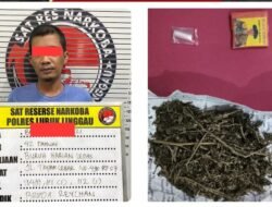 Warga Sidorejo Diamankan Polres Linggau Terkait Kepemilikan Narkotika