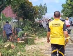Polres Linggau Evakuasi Pohon Tumbang