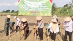 Polres Musi Rawas Tanam Jagung di Lahan Perhutanan Sosial