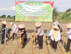 Polres Musi Rawas Tanam Jagung di Lahan Perhutanan Sosial