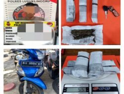 Pria Asal Bengkulu Diringkus Polres Linggau, 55 Gram Ganja Diamankan