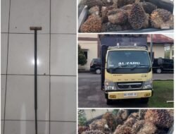 Gelapkan Buah Sawit Perusahaan, SP Mendekam di Balik Jeruji Besi Polres Mura