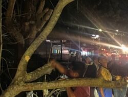 DLH Linggau Gerak Cepat Evakuasi Pohon Roboh di jembatan depan Ex RM Pagi Sore