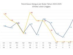 Kasus DBD di Lubuk Linggau Meningkat Drastis