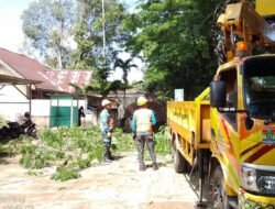 PLN UP3 Lubuklinggau Lakukan Pembersihan Jalur Listrik di Jalan Lintas Sumatera