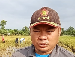 Demi Ketahanan Pangan, Petani Muratara Butuh Alat dan Jalan Layak