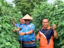 Panen Sayur dan Vaksinasi Rabies Gratis, Pemkot Linggau Dukung Gerakan Zero Rabies