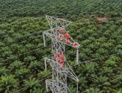 PLN Dorong Interkoneksi ASEAN Power Grid untuk Akselerasi Transisi Energi Bersih