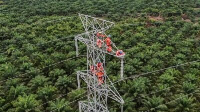 PLN Dorong Interkoneksi ASEAN Power Grid untuk Akselerasi Transisi Energi Bersih