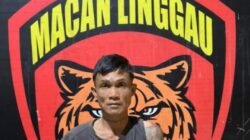 Beraksi Tengah Malam, Pencuri Ponsel di Satelit Dicokok Tim Macan