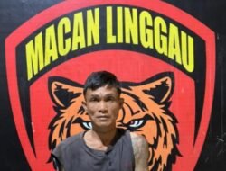 Beraksi Tengah Malam, Pencuri Ponsel di Satelit Dicokok Tim Macan