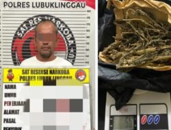 Gagal Kabur, Pengedar Ganja 50 Gram Diciduk Polres Linggau