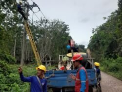 PLN ULP Kayu Agung Tingkatkan Keandalan Listrik di Tulung Selapan