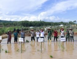 Tanam Perdana Cetak Sawah Rakyat Sumsel Dimulai