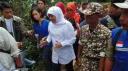 Pers Sakit, Ekonomi Rapuh, Bangsa Lemah