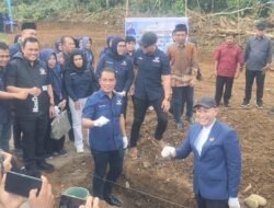 NasDem Targetkan 10 Kursi di Pileg 2029