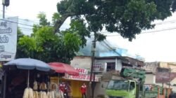 DLH Linggau Evakuasi Pohon Miring di Pasar Satelit