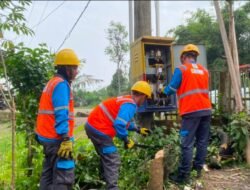 PLN ULP Tebing Tinggi Lakukan Standarisasi NH Fuse dan Pembersihan Area Gardu di Talang Gunung