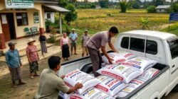 Muat ke Mobil Carry, Pupuk Bantuan Desa Pauh I Disinyalir Dijual