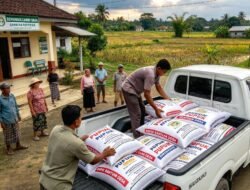 Muat ke Mobil Carry, Pupuk Bantuan Desa Pauh I Disinyalir Dijual